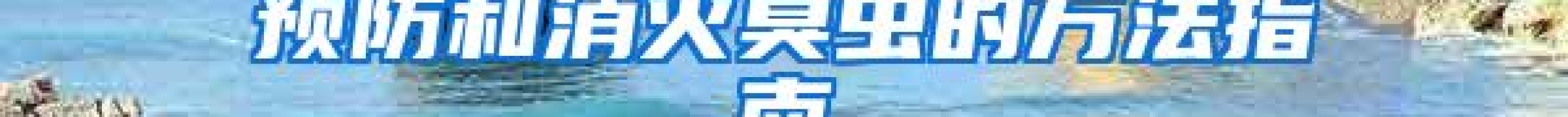 預防和消滅臭蟲的方法指南